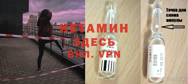 крисы Надым