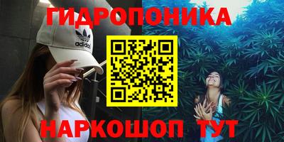 тгк Кимры